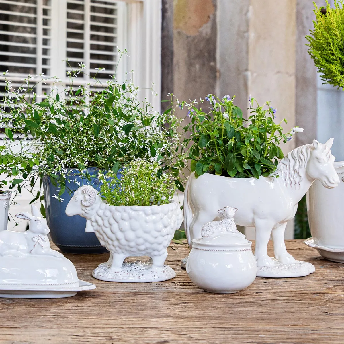 Clever Creatures Fox Salt and Pepper Set/2pc